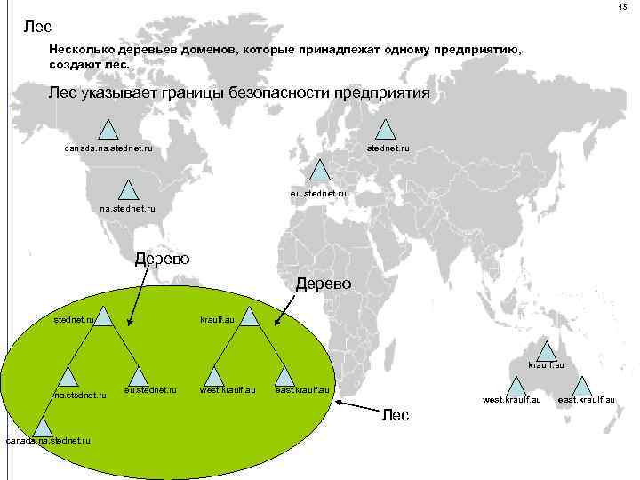 15 Лес Несколько деревьев доменов, которые принадлежат одному предприятию, создают лес. Лес указывает границы