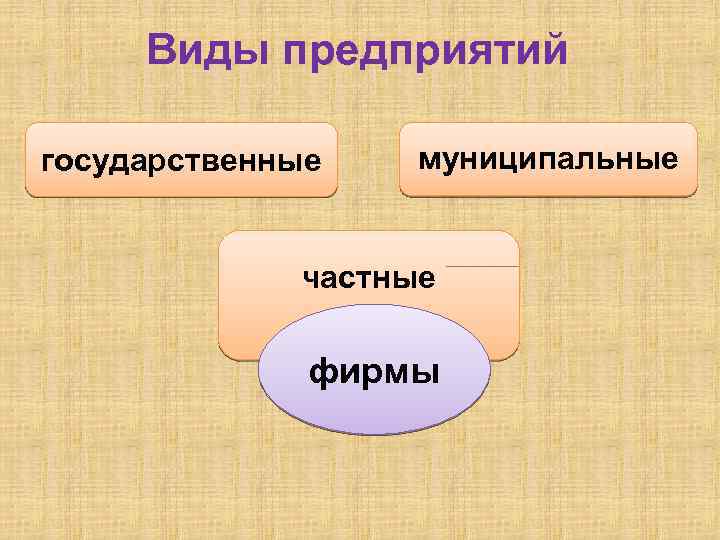 Виды предприятий государственные муниципальные частные фирмы 