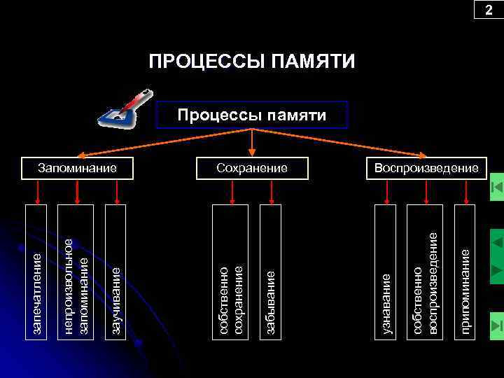припоминание собственно воспроизведение Сохранение узнавание забывание Запоминание собственно сохранение заучивание непроизвольное запоминание запечатление 2