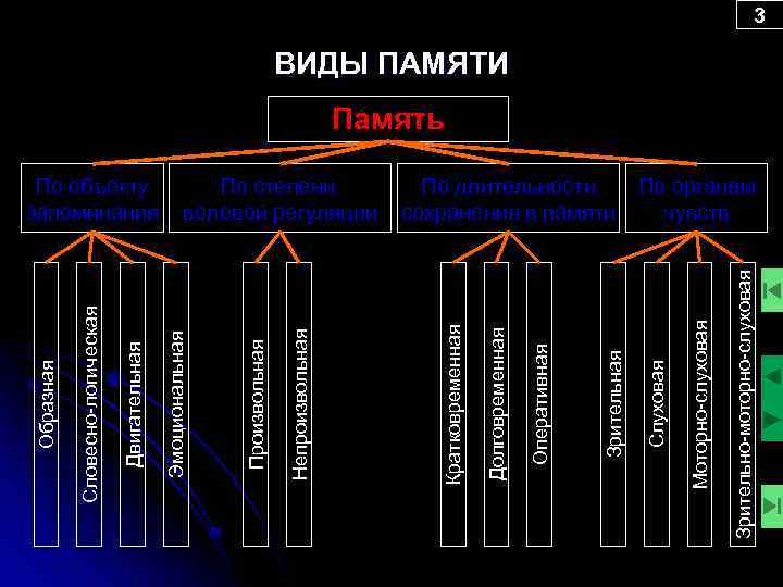Зрительно-моторно-слуховая Моторно-слуховая По длительности сохранения в памяти Слуховая Зрительная Оперативная Долговременная По степени волевой