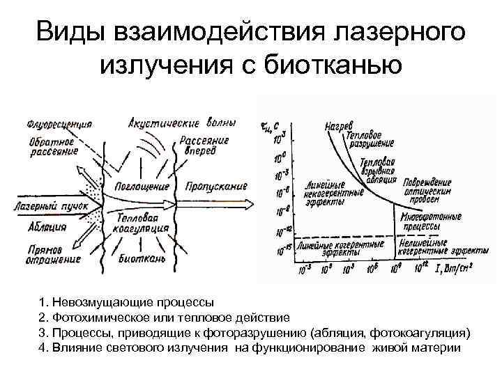 Виды взаимодействия лазерного излучения с биотканью 1. Невозмущающие процессы 2. Фотохимическое или тепловое действие