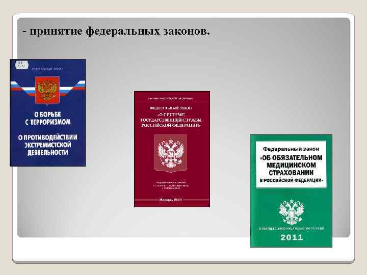 - принятие федеральных законов. 