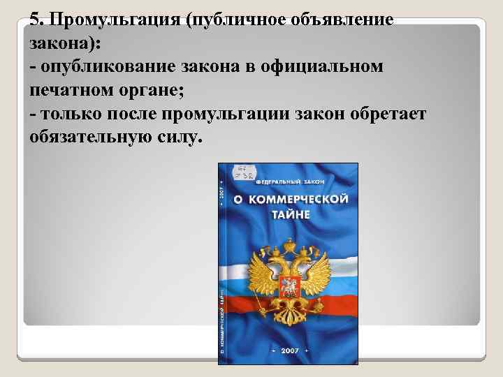 Официальное опубликование закона. Промульгация закона это. Цель обнародования закона. Промульгация федеральных законов. Промульгация закона это опубликование.