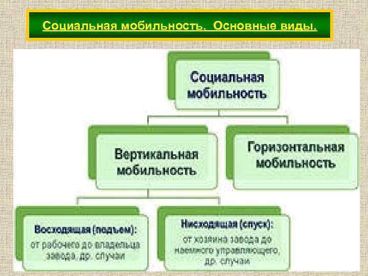 Развернутый план социальная мобильность