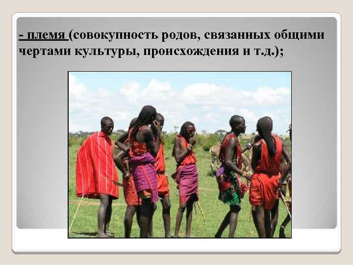 - племя (совокупность родов, связанных общими чертами культуры, происхождения и т. д. ); 