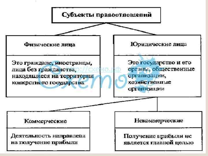 Структура административных правоотношений схема