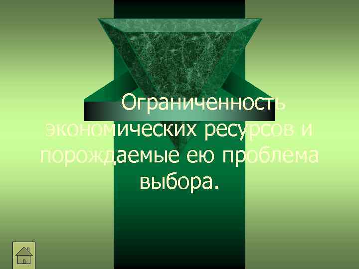 Ограниченность экономических ресурсов и порождаемые ею проблема выбора. 
