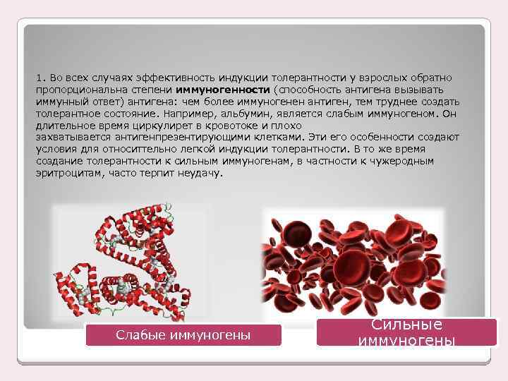 1. Во всех случаях эффективность индукции толерантности у взрослых обратно пропорциональна степени иммуногенности (способность
