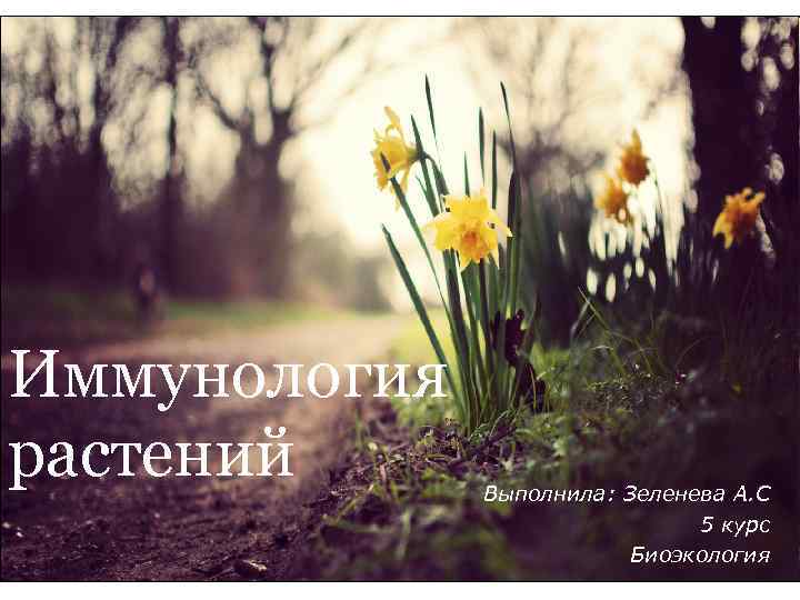 Иммунология растений Выполнила: Зеленева А. С 5 курс Биоэкология 