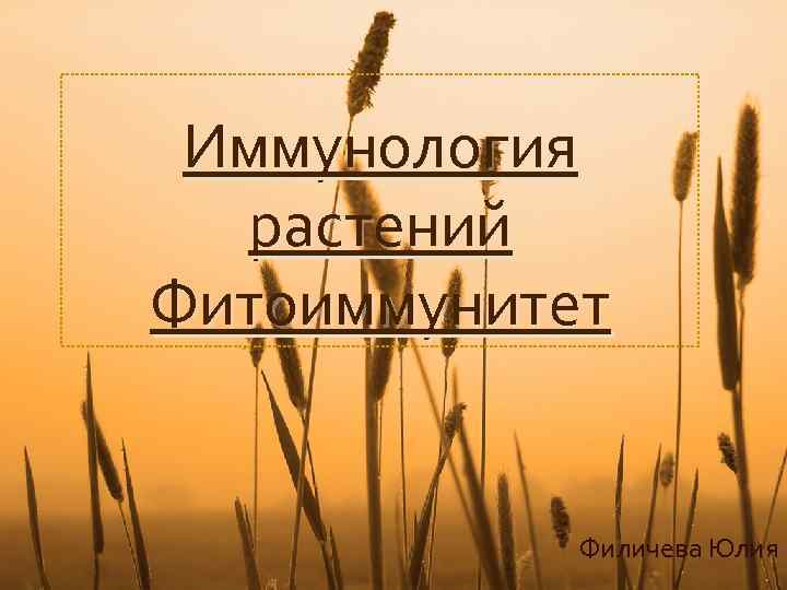 Иммунология растений Фитоиммунитет Филичева Юлия 