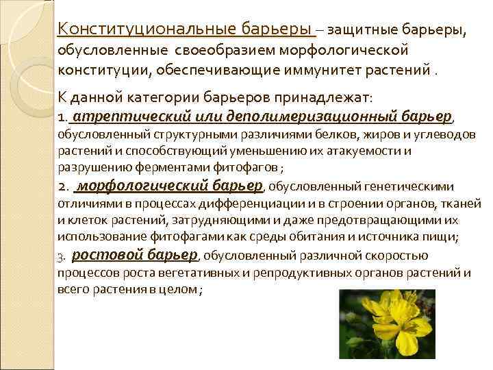 Конституциональные барьеры – защитные барьеры, обусловленные своеобразием морфологической конституции, обеспечивающие иммунитет растений. К данной