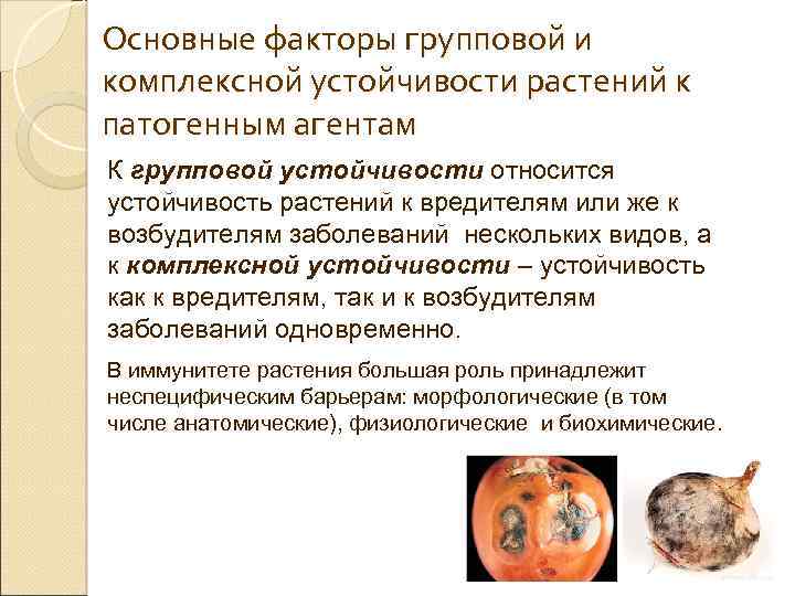 Основные факторы групповой и комплексной устойчивости растений к патогенным агентам К групповой устойчивости относится