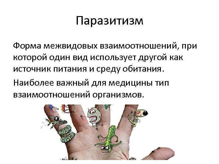 Паразитизм Форма межвидовых взаимоотношений, при которой один вид использует другой как источник питания и