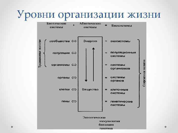 Уровни организации жизни 