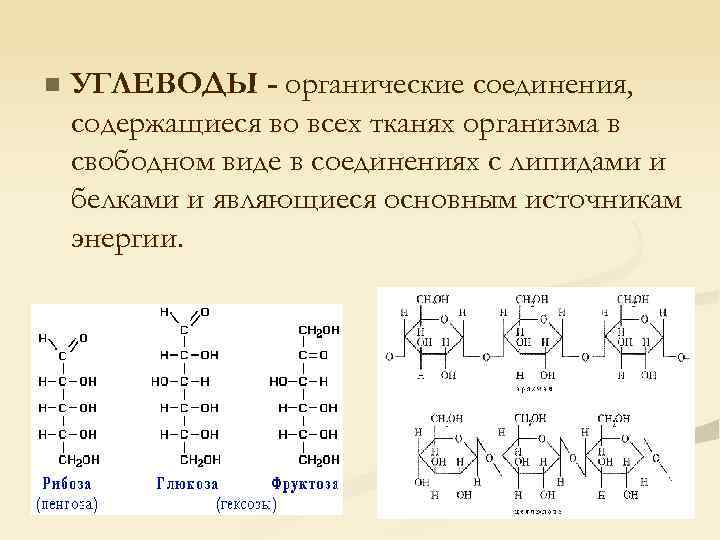 Углеводы соединения