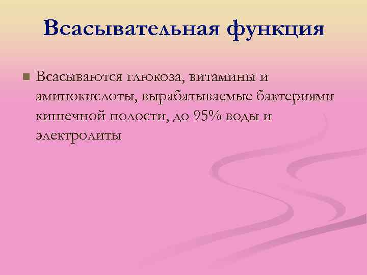 Всасывательная функция n Всасываются глюкоза, витамины и аминокислоты, вырабатываемые бактериями кишечной полости, до 95%