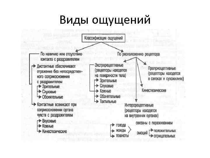 Русская литература крутецкая 9 11 в таблицах и схемах