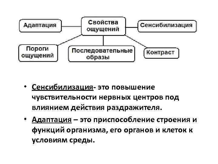  • Сенсибилизация- это повышение чувствительности нервных центров под влиянием действия раздражителя. • Адаптация