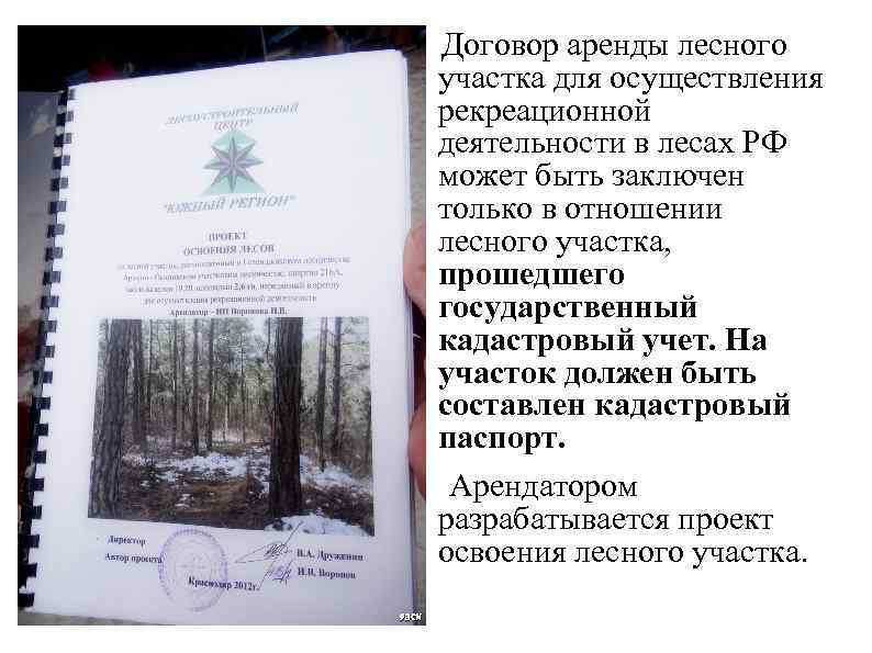  Договор аренды лесного участка для осуществления рекреационной деятельности в лесах РФ может быть