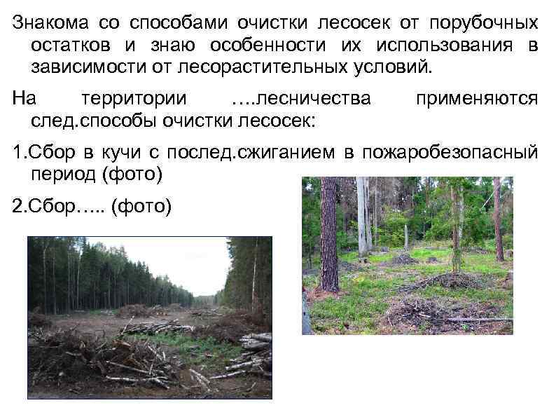 Знакома со способами очистки лесосек от порубочных остатков и знаю особенности их использования в