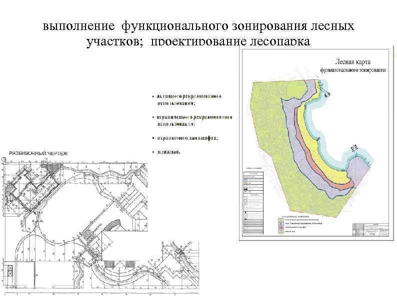 выполнение функционального зонирования лесных участков; проектирование лесопарка 