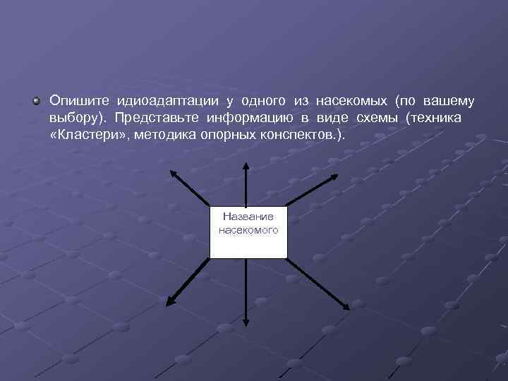 Опишите идиоадаптации у одного из насекомых (по вашему выбору). Представьте информацию в виде схемы