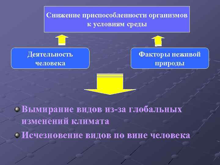 Снижение приспособленности организмов к условиям среды Деятельность человека Факторы неживой природы Вымирание видов из-за