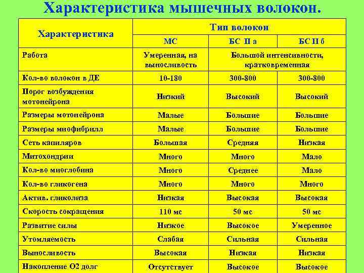 Характеристика мышечных волокон. Характеристика Работа Кол-во волокон в ДЕ Тип волокон МС Умеренная, на
