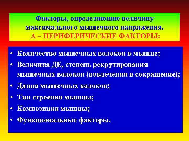 Факторы, определяющие величину максимального мышечного напряжения. А – ПЕРИФЕРИЧЕСКИЕ ФАКТОРЫ: • Количество мышечных волокон