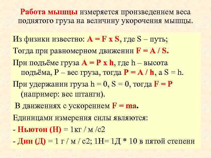Работа мышцы измеряется произведением веса поднятого груза на величину укорочения мышцы. Из физики известно: