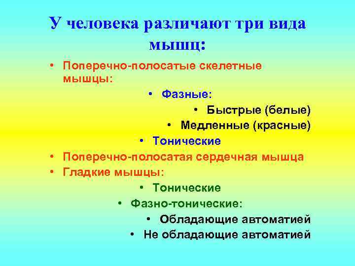 У человека различают три вида мышц: • Поперечно-полосатые скелетные мышцы: • Фазные: • Быстрые