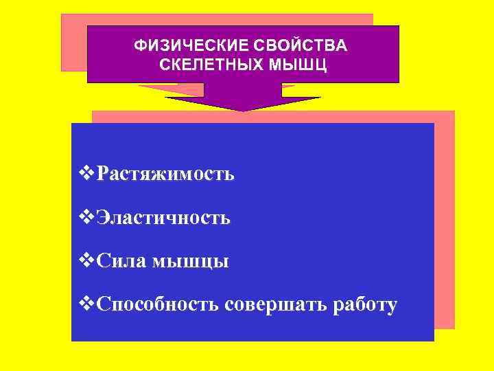 ФИЗИЧЕСКИЕ СВОЙСТВА СКЕЛЕТНЫХ МЫШЦ v. Растяжимость v. Эластичность v. Сила мышцы v. Способность совершать