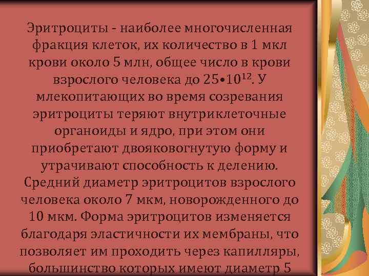 Эритроциты - наиболее многочисленная фракция клеток, их количество в 1 мкл крови около 5