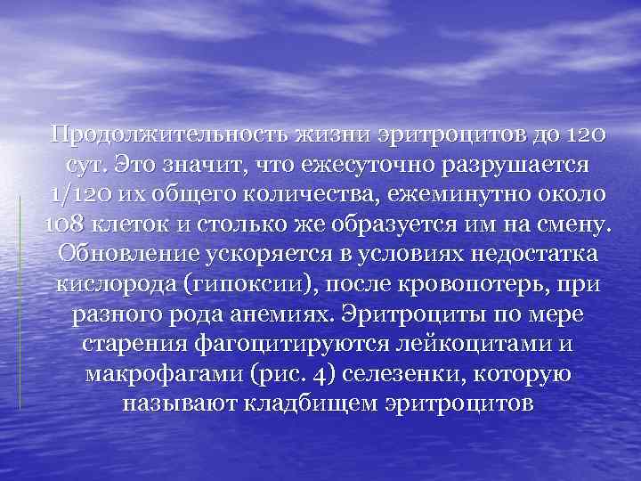 Продолжительность жизни эритроцитов до 120 сут. Это значит, что ежесуточно разрушается 1/120 их общего