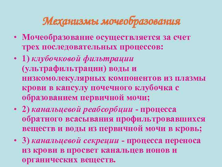 Механизмы мочеобразования • Мочеобразование осуществляется за счет трех последовательных процессов: • 1) клубочковой фильтрации