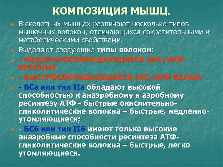 КОМПОЗИЦИЯ МЫШЦ. n n n В скелетных мышцах различают несколько типов мышечных волокон, отличающихся