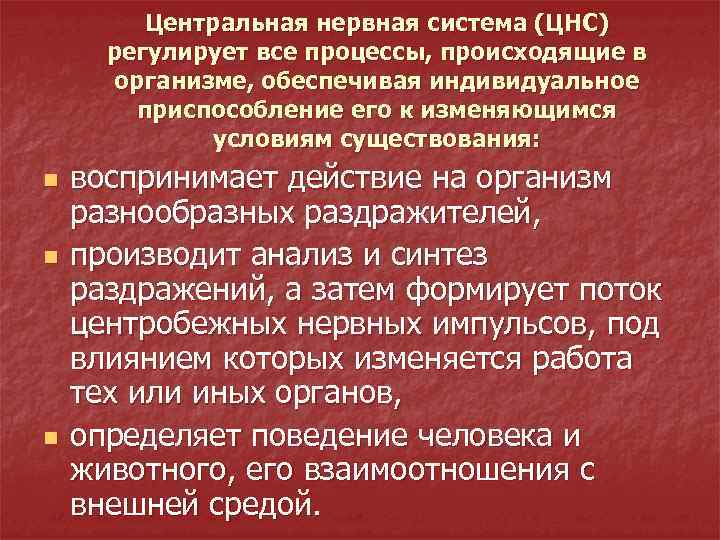 Центральная нервная система (ЦНС) регулирует все процессы, происходящие в организме, обеспечивая индивидуальное приспособление его