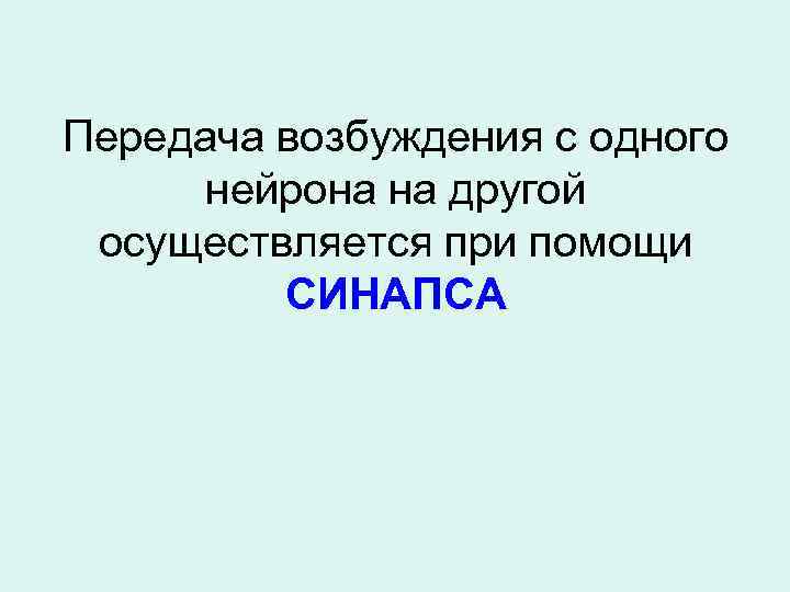 Передача возбуждения с одного нейрона на другой осуществляется при помощи СИНАПСА 
