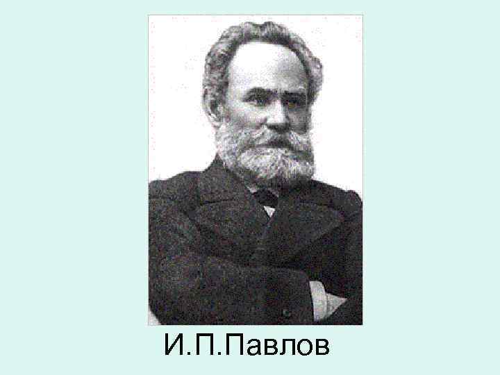 И. П. Павлов 