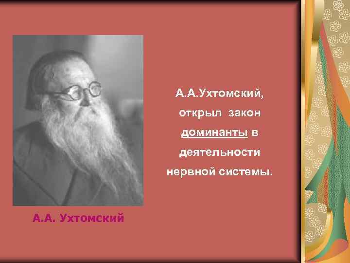 А. А. Ухтомский, открыл закон доминанты в деятельности нервной системы. А. А. Ухтомский 