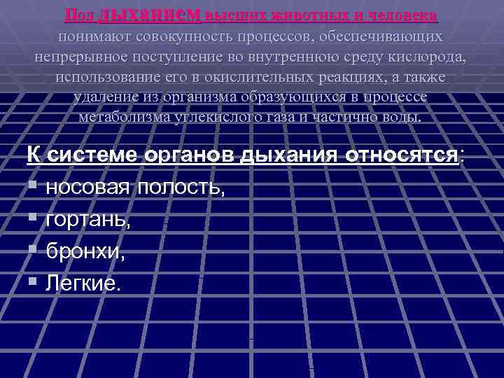 Под дыханием высших животных и человека понимают совокупность процессов, обеспечивающих непрерывное поступление во внутреннюю