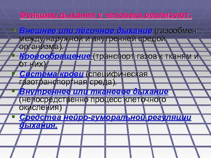 Функцию дыхания у человека реализуют: § Внешнее или лёгочное дыхание (газообмен § § между