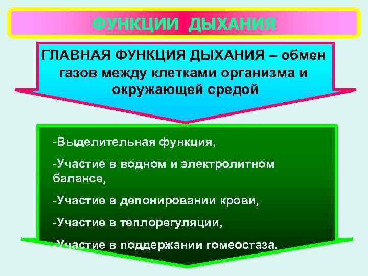 ФУНКЦИИ ДЫХАНИЯ ГЛАВНАЯ ФУНКЦИЯ ДЫХАНИЯ – обмен газов между клетками организма и окружающей средой
