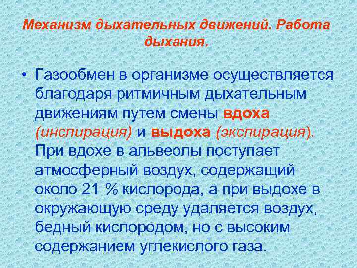 Механизм дыхательных движений. Работа дыхания. • Газообмен в организме осуществляется благодаря ритмичным дыхательным движениям