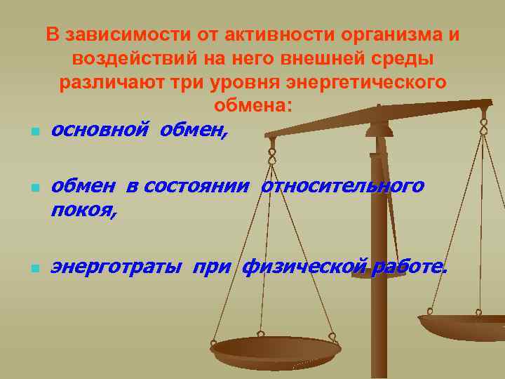 В зависимости от активности организма и воздействий на него внешней среды различают три уровня