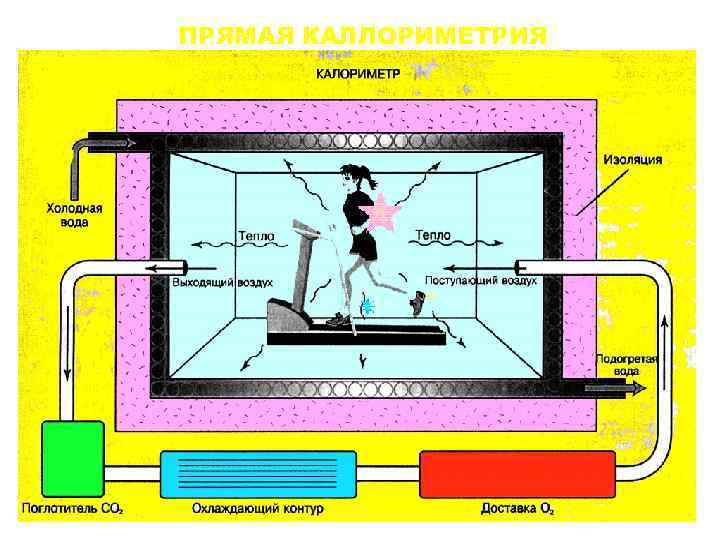 ПРЯМАЯ КАЛЛОРИМЕТРИЯ 