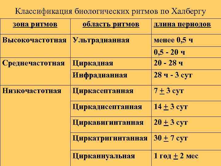 Классификация биологических ритмов по Халбергу зона ритмов область ритмов длина периодов Высокочастотная Ультрадианная менее