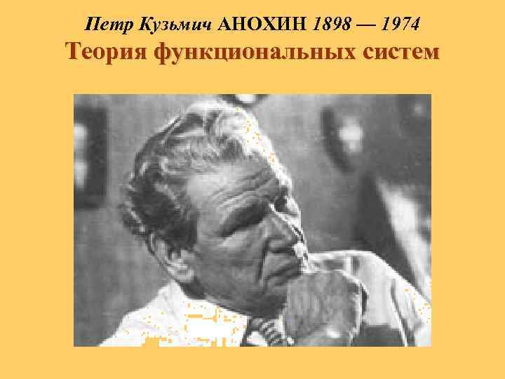 Петр Кузьмич АНОХИН 1898 — 1974 Теория функциональных систем 