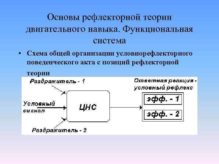 Основы рефлекторной теории двигательного навыка. Функциональная система • Схема общей организации условнорефлекторного поведенческого акта