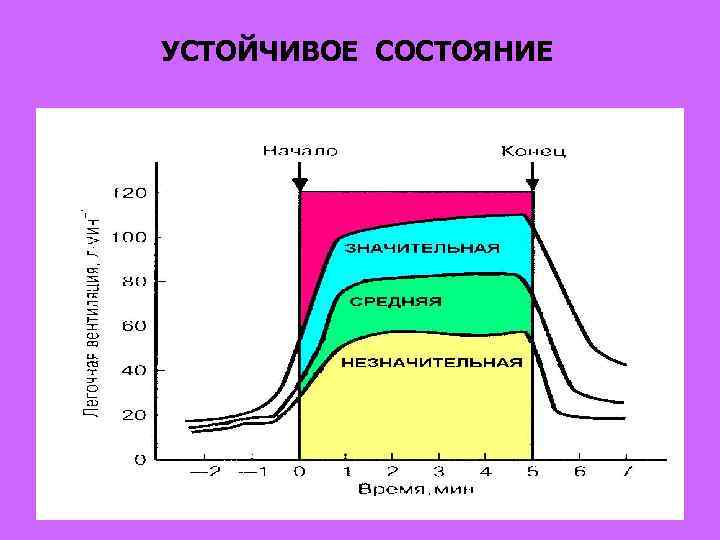 УСТОЙЧИВОЕ СОСТОЯНИЕ 